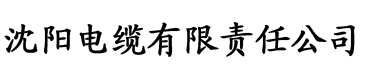 云云和解青梅竹马谢池电缆厂logo